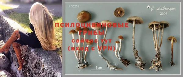 spice Белокуриха