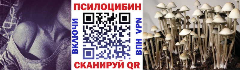 Псилоцибиновые грибы Psilocybe  цены   Суздаль 